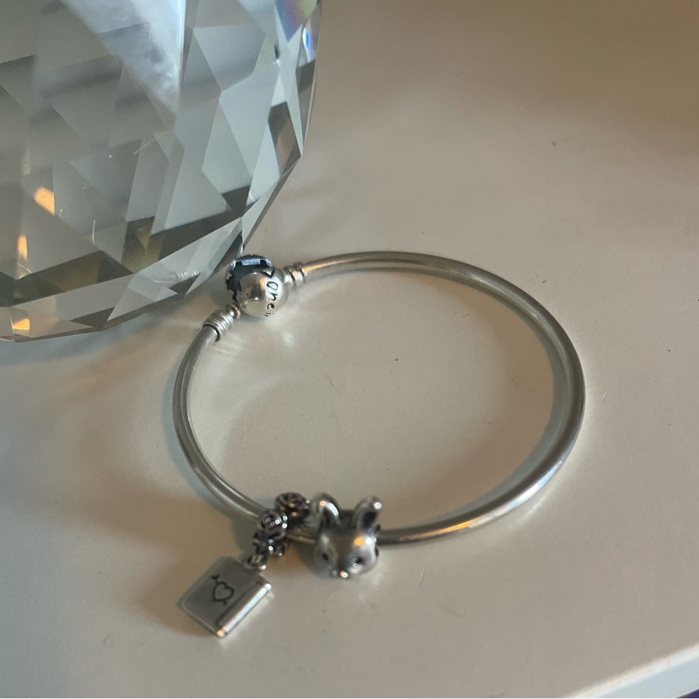 Pandora One in a Million Charm Bracelet with Valentine’s and Bunny Charms